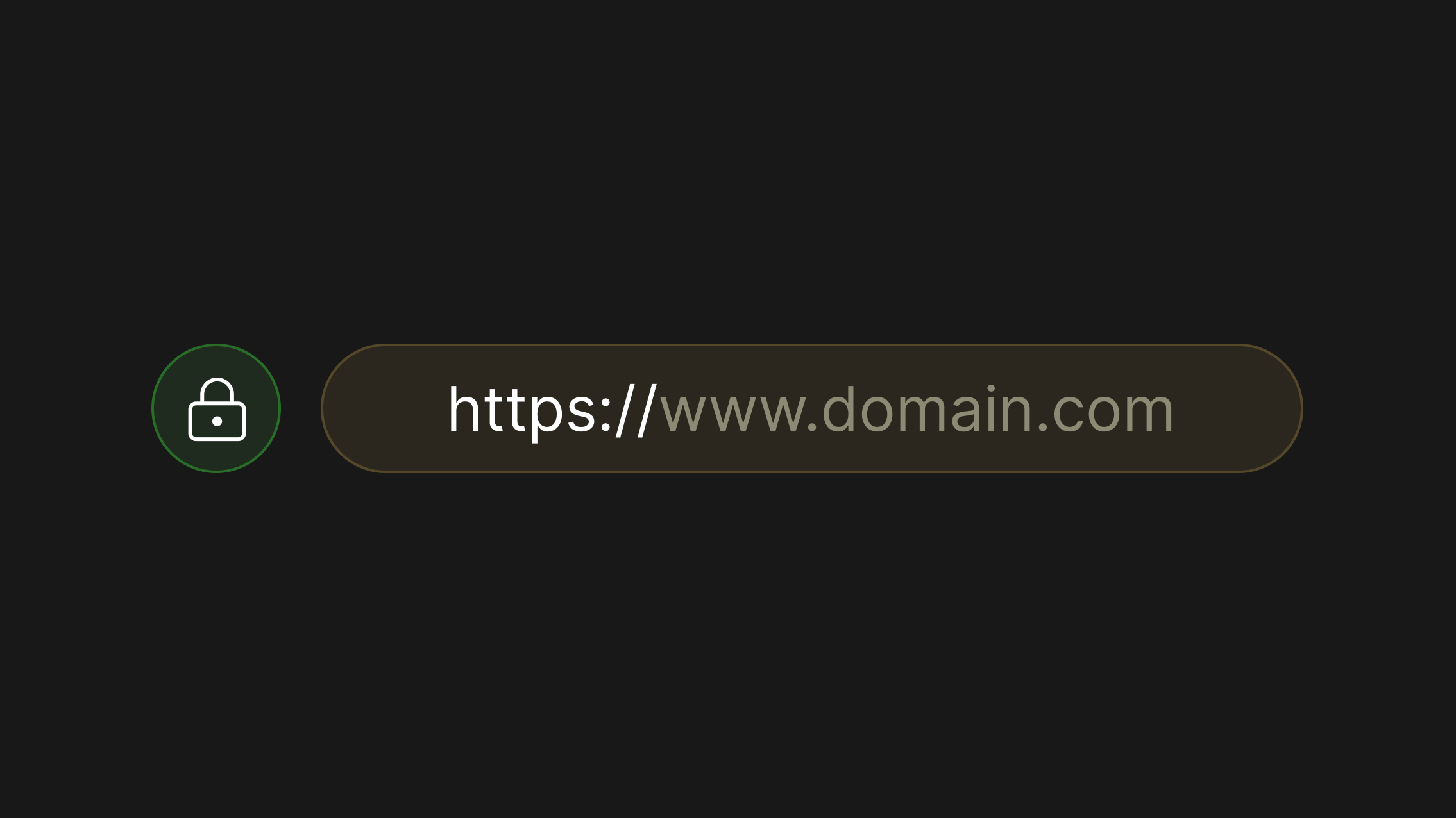 What is an SSL certificate